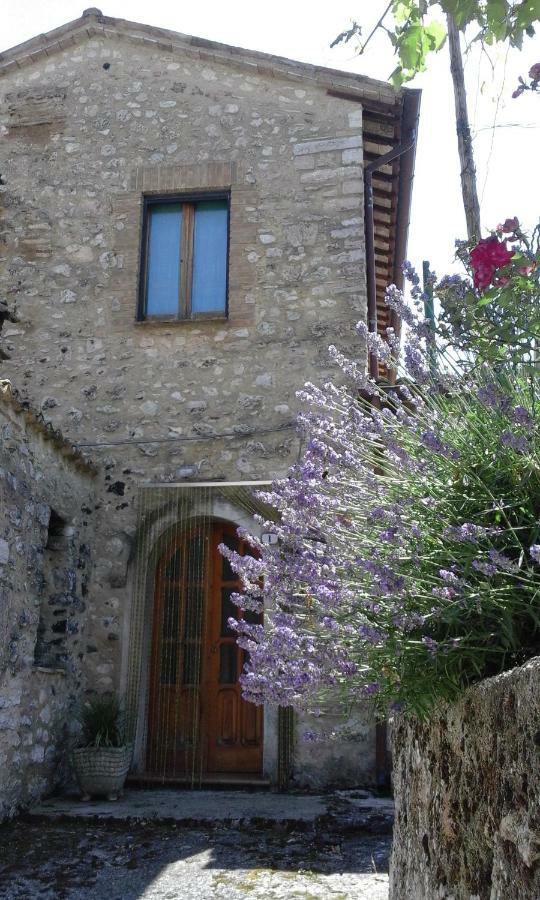 Agriturismo Terramia Meggiano المظهر الخارجي الصورة