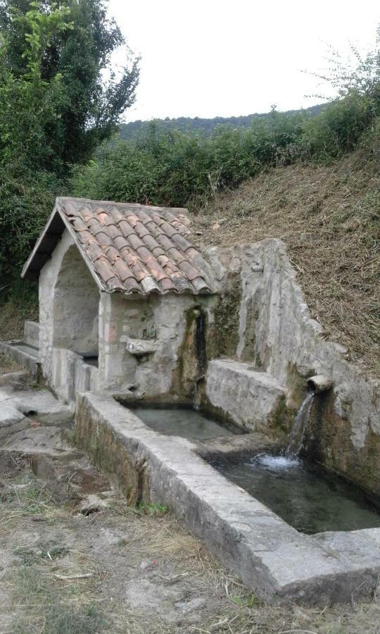 Agriturismo Terramia Meggiano المظهر الخارجي الصورة